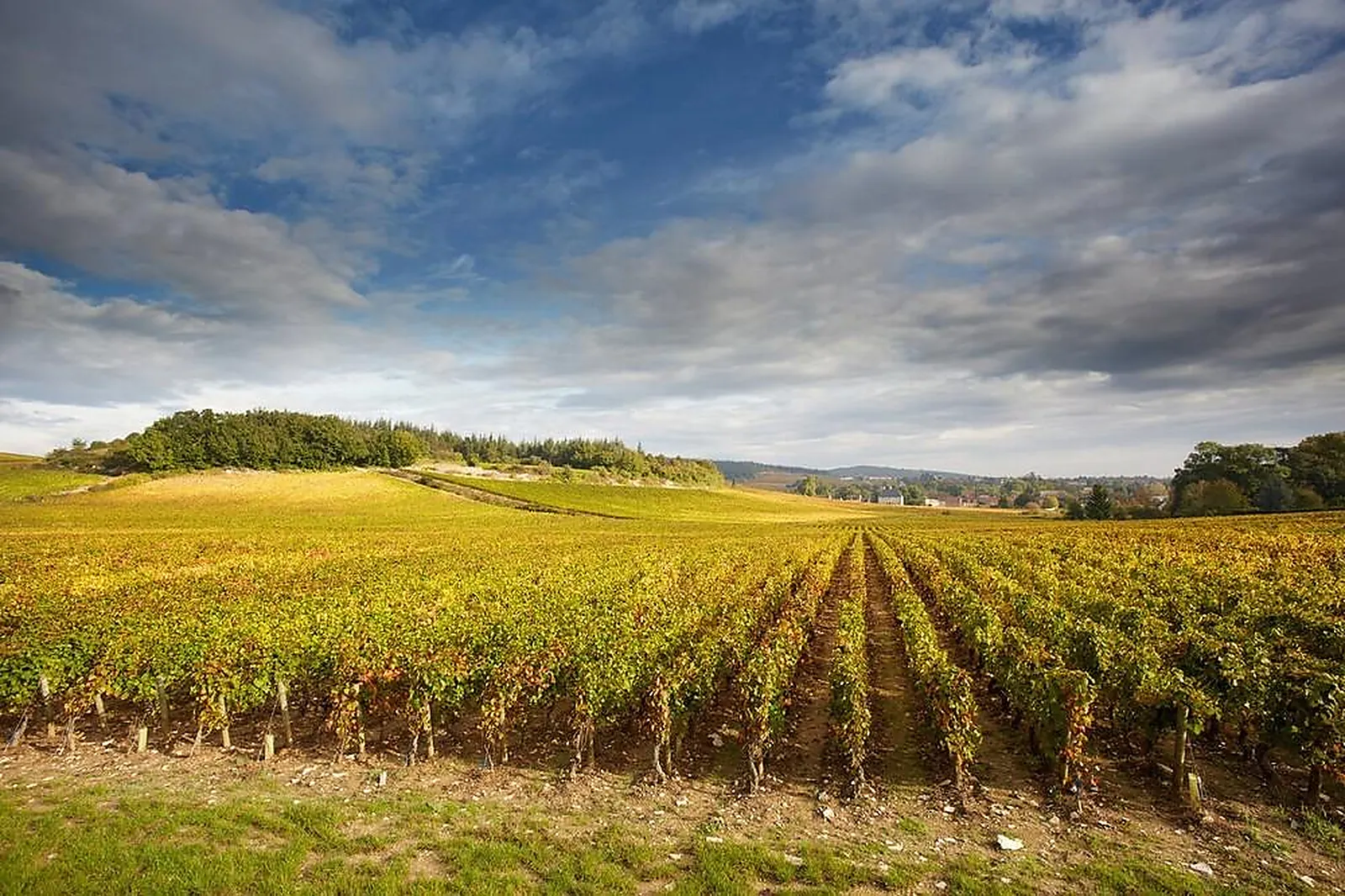 Lieux événementiels, CHÂTEAU DE CHAMIREY