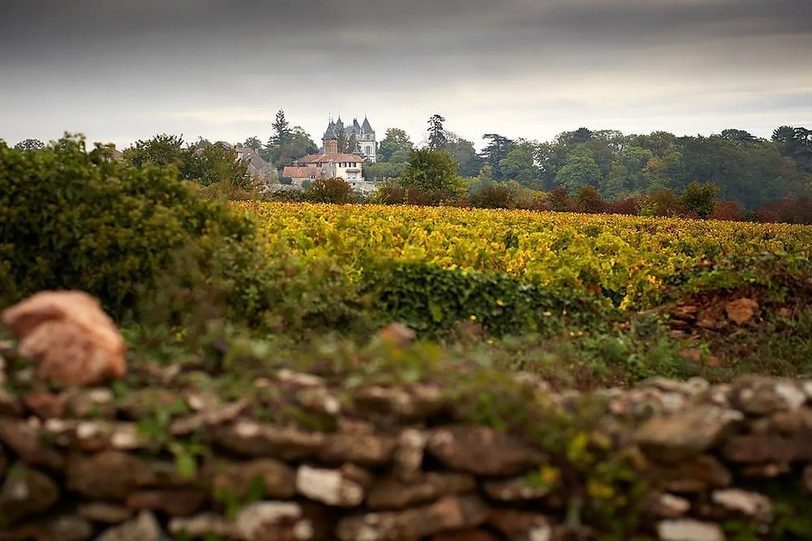 Lieux événementiels, CHÂTEAU DE CHAMIREY