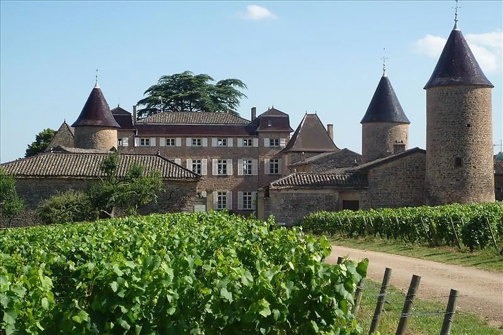 Lieux événementiels, CHÂTEAU DE CHASSELAS