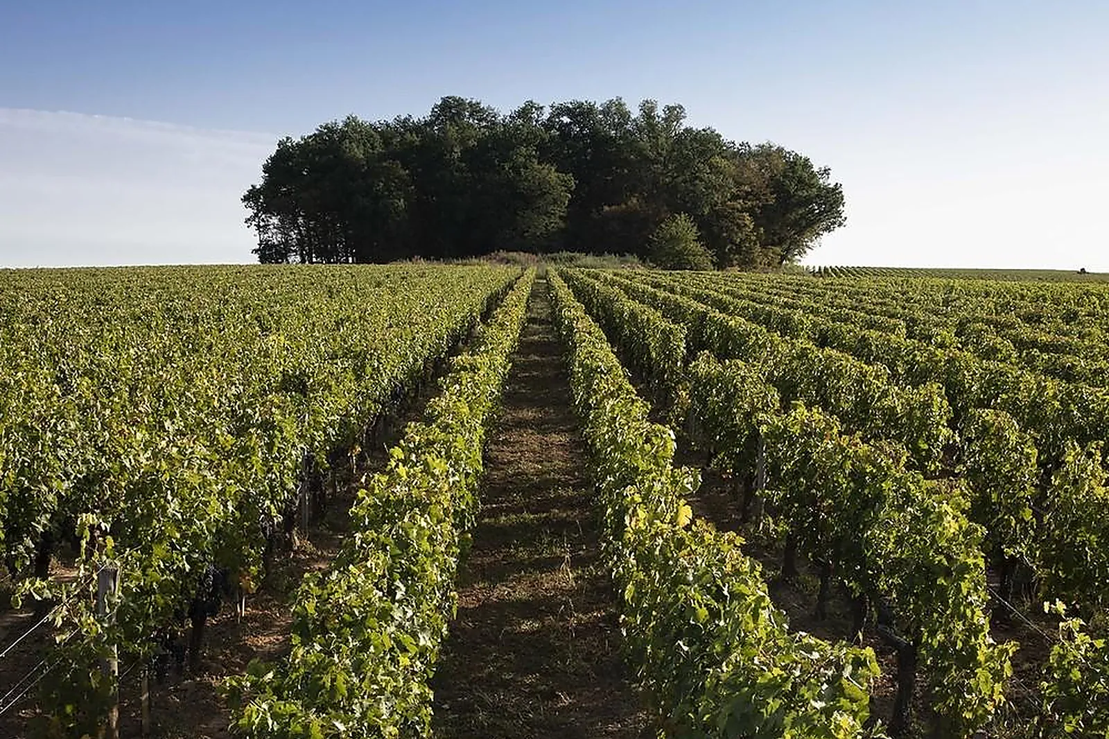 Lieux événementiels, CHÂTEAU DE FERRAND