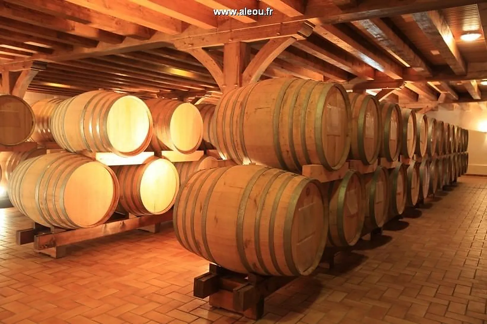 Lieux événementiels, CHÂTEAU DE FESLES