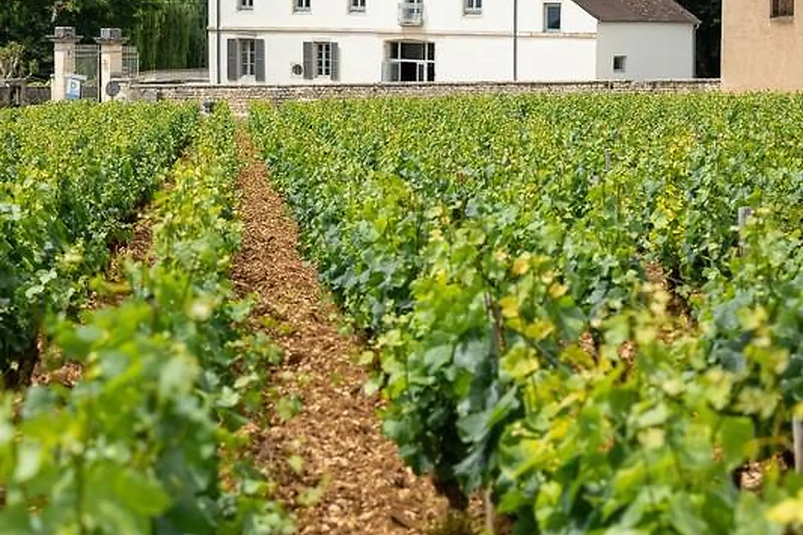 Lieux événementiels, CHÂTEAU DE GARNEROT