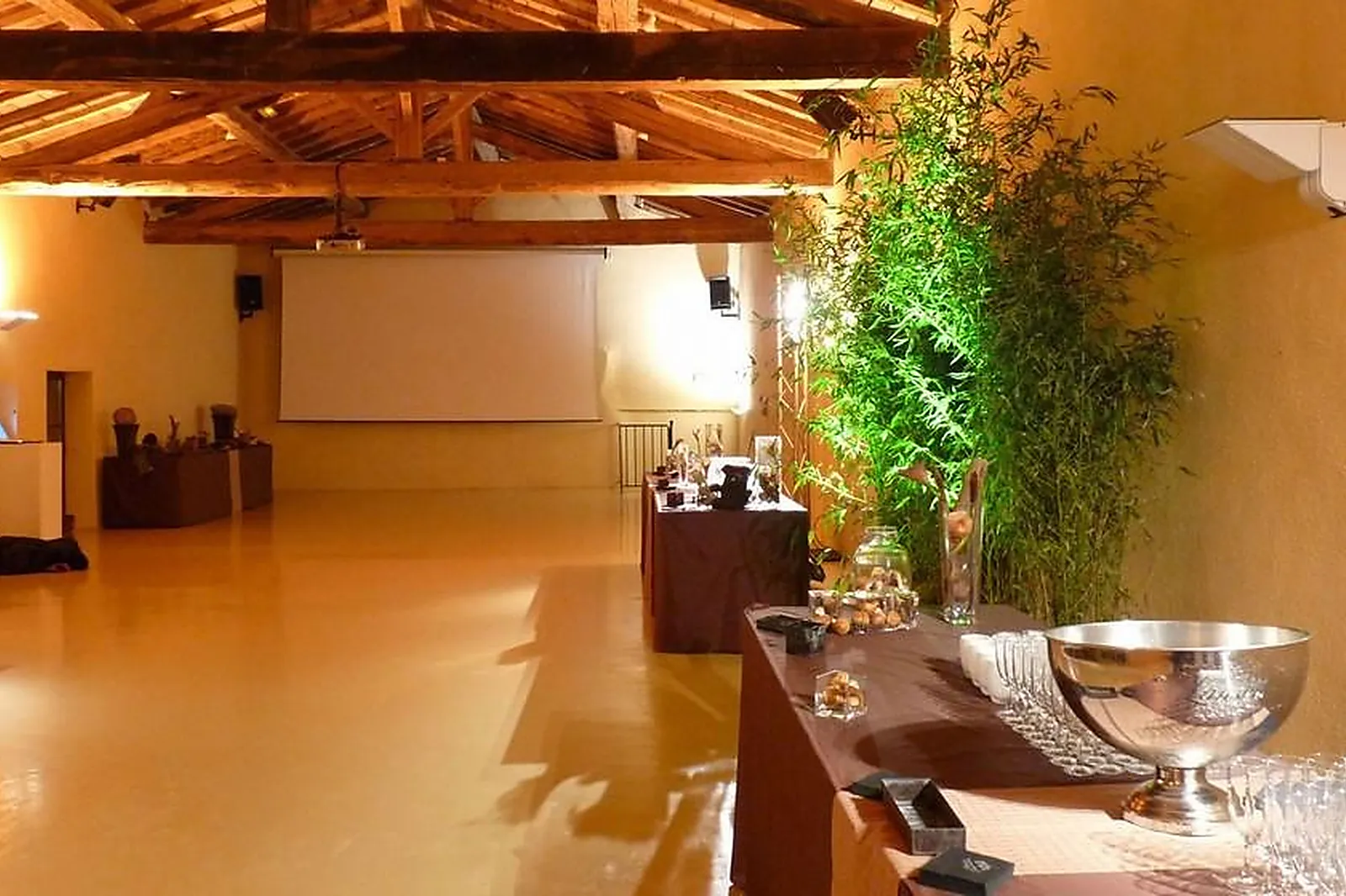 Lieux événementiels, CHATEAU DE JANZE