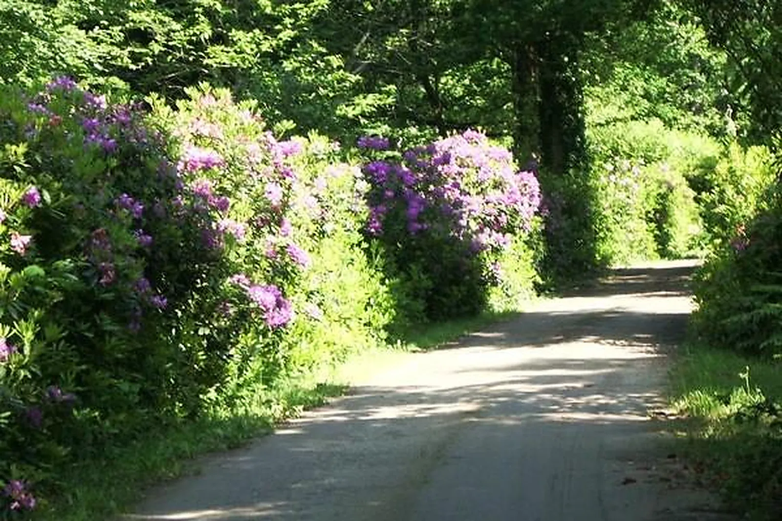 Lieux événementiels, CHÂTEAU DE KERAMBLEIZ