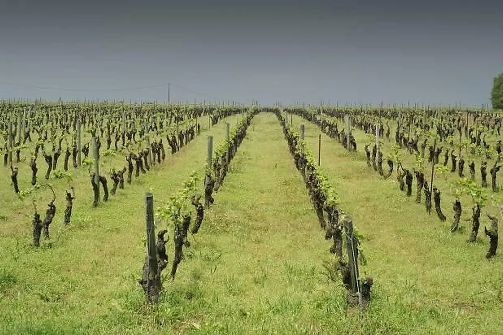 Lieux événementiels, CHÂTEAU DE LA GALISSONNIERE