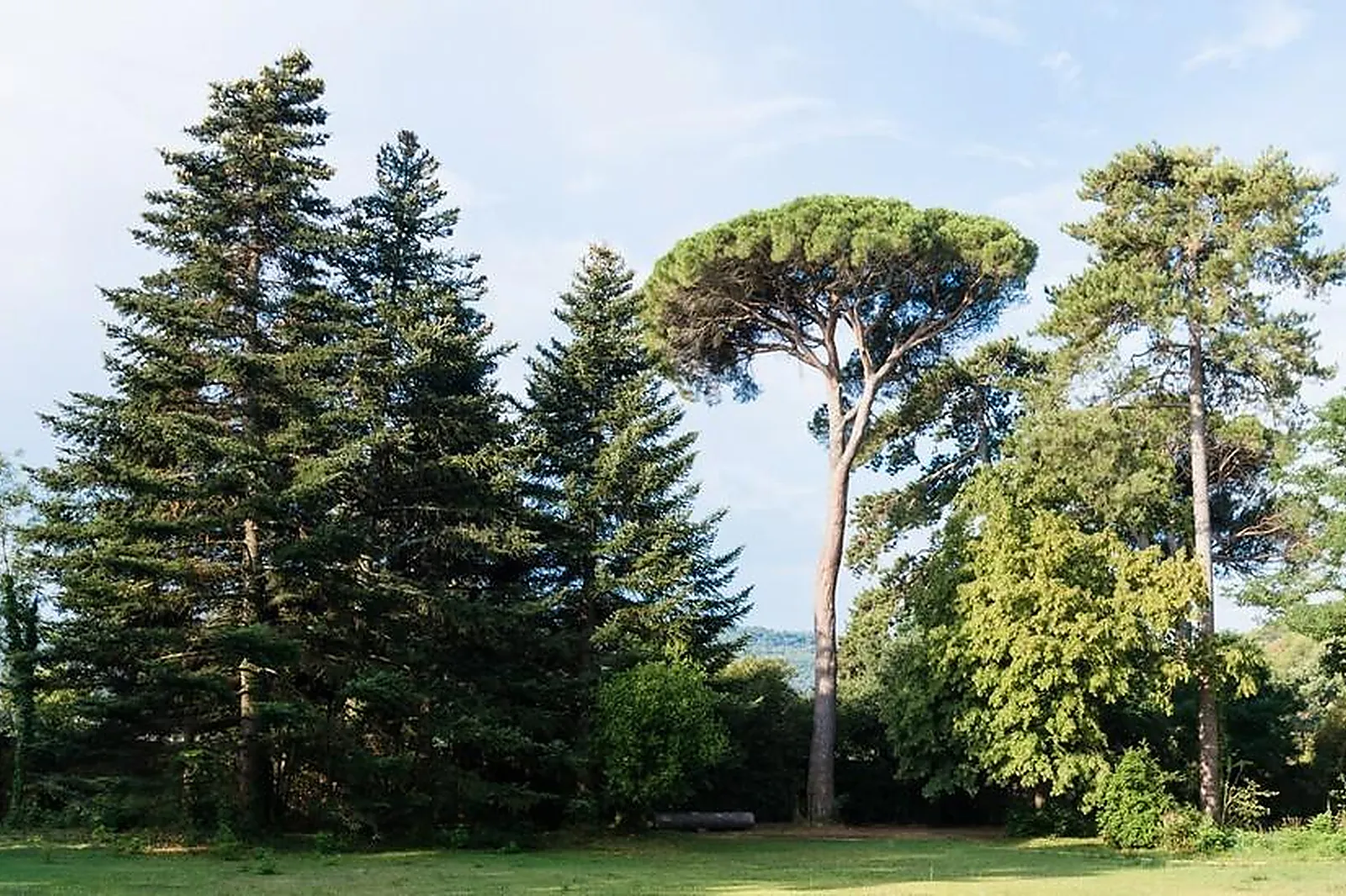 Lieux événementiels, CHÂTEAU DE MONTCAUD