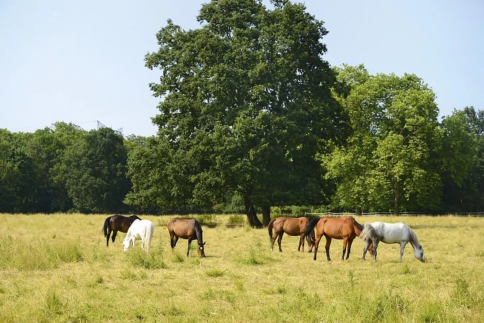 Lieux événementiels, CHÂTEAU DE NOINTEL