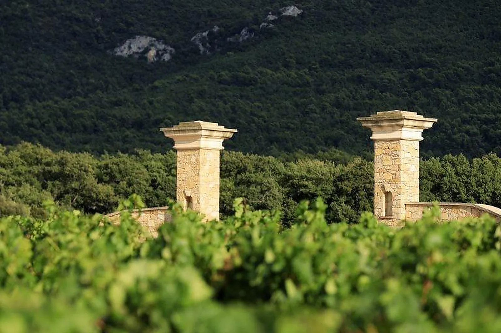 Lieux événementiels, CHÂTEAU DE ROQUEFEUILLE