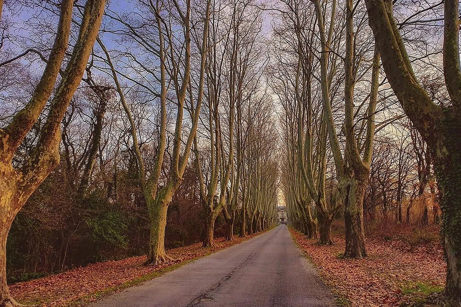 Lieux événementiels, CHÂTEAU DE ROUSSAN