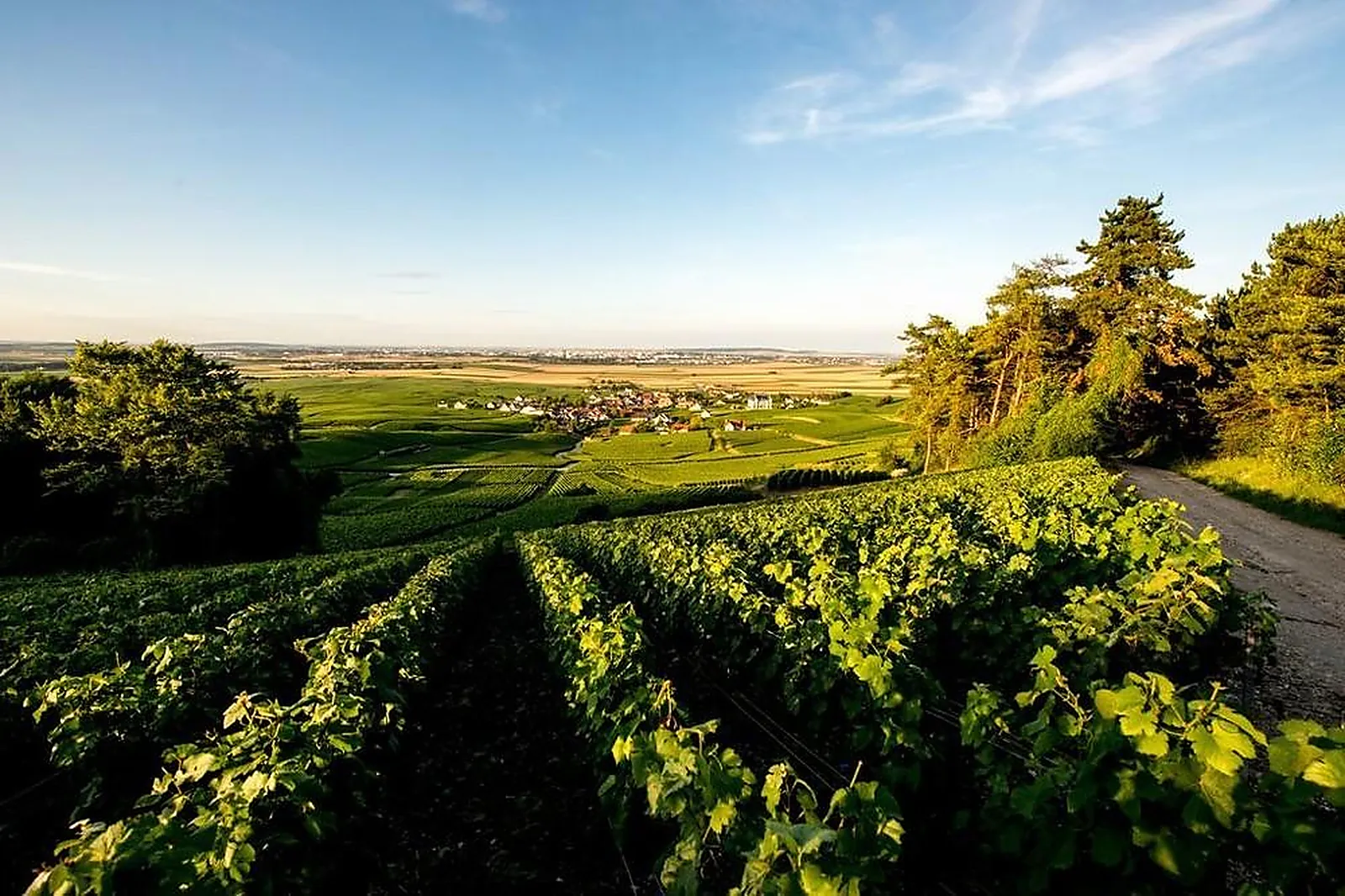 Lieux événementiels, CHÂTEAU DE SACY