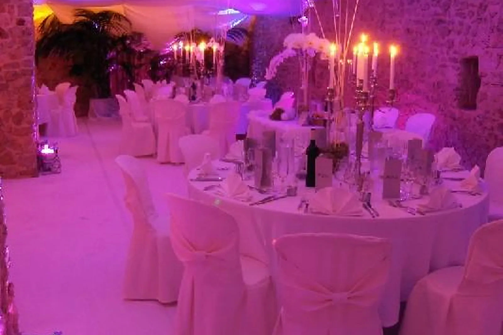 Lieux événementiels, CHÂTEAU DE SENEGUIER