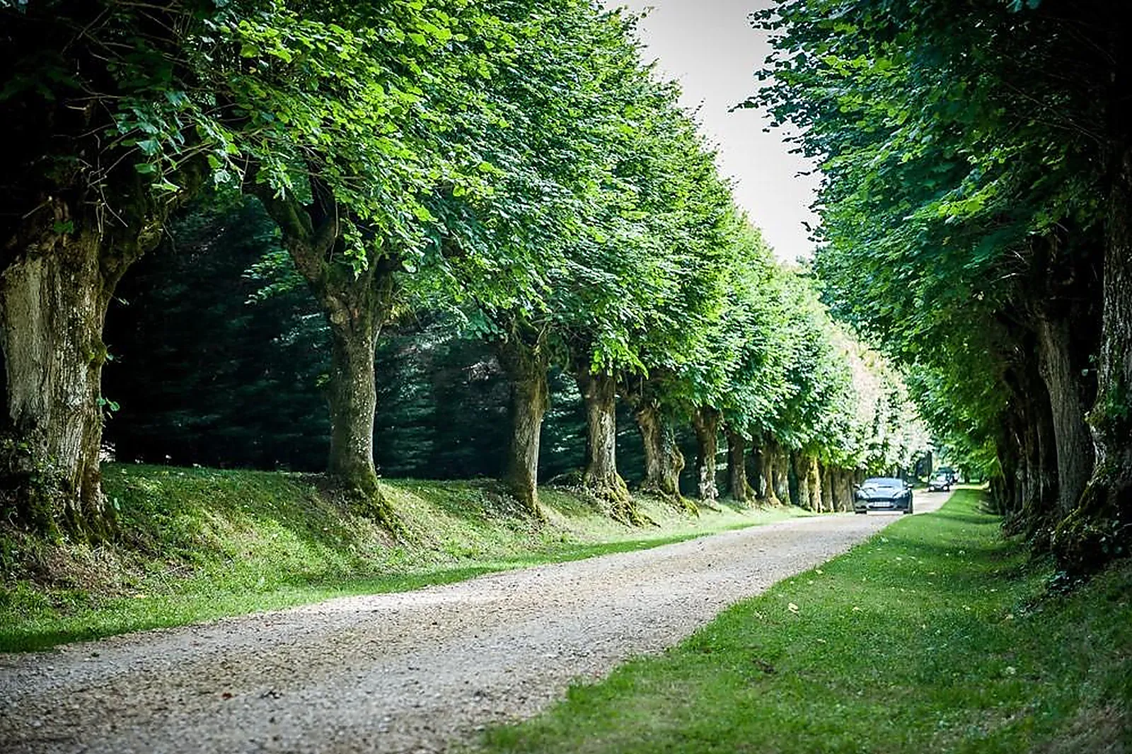 Lieux événementiels, CHÂTEAU DE LA BORDERIE