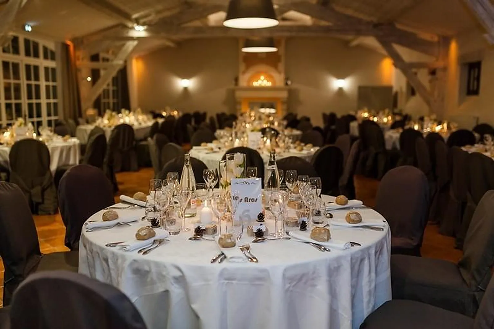 Lieux événementiels, CHATEAU DE LA PIGOSSIERE