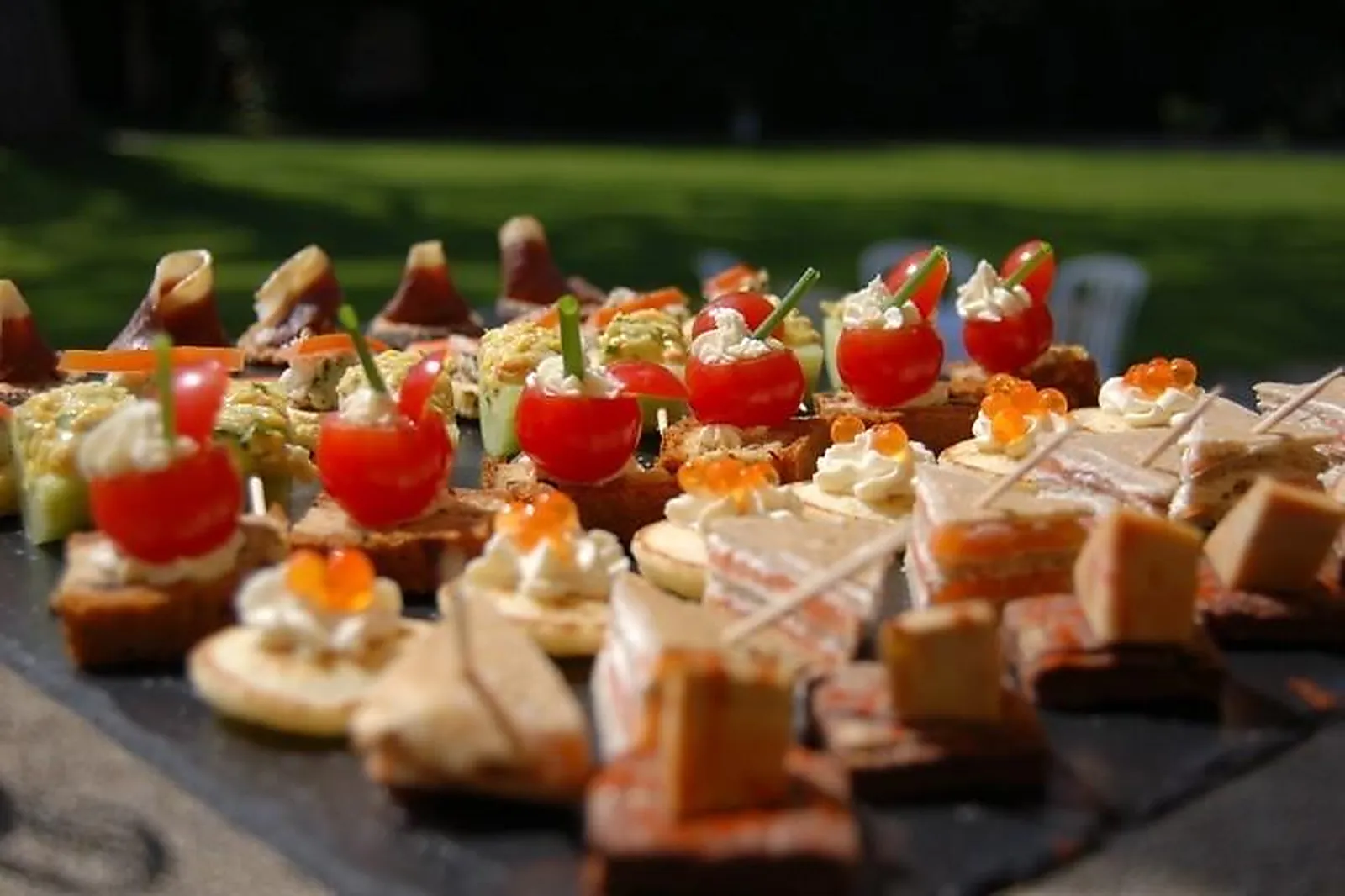 Lieux événementiels, CHATEAU DE LA PIGOSSIERE