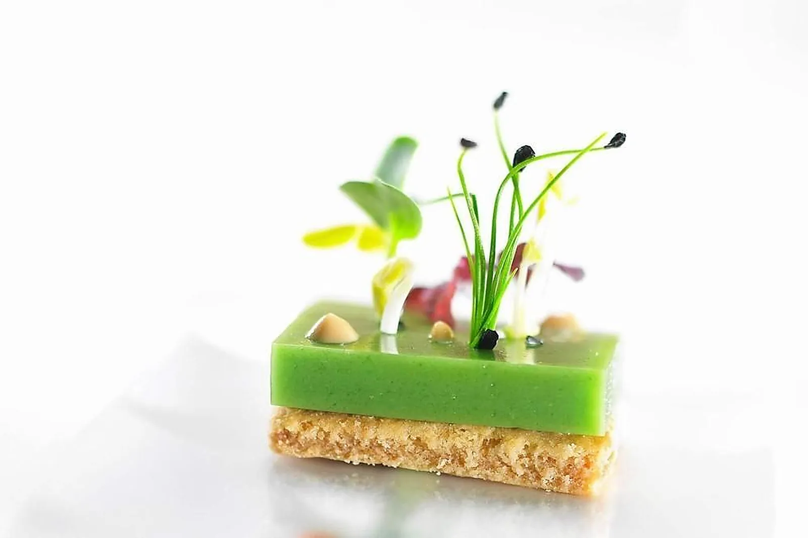 Lieux événementiels, CHÂTEAU DE LA PIOLINE