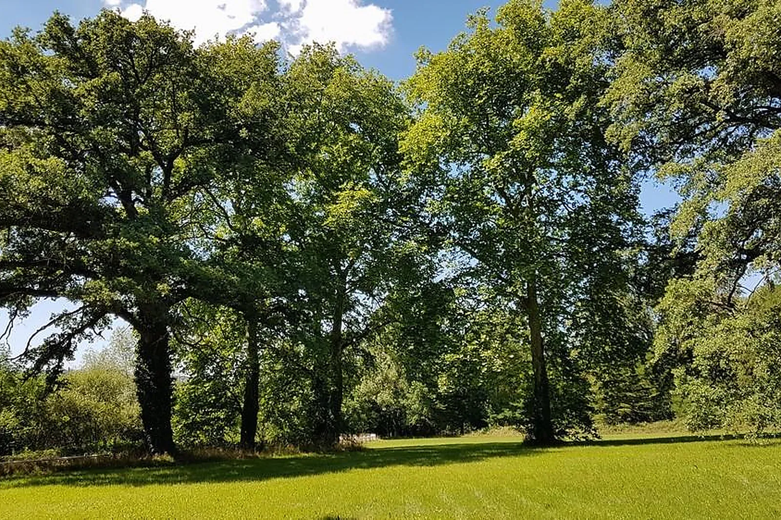 Lieux événementiels, CHÂTEAU DE LA ROSE