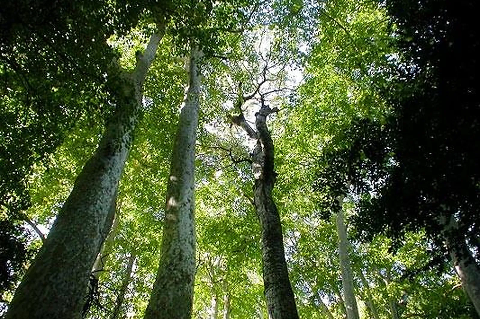 Lieux événementiels, CHÂTEAU DES BARRENQUES