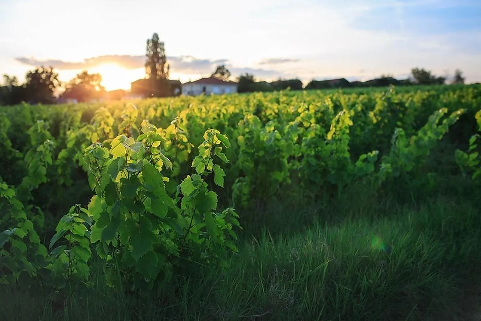 Lieux événementiels, CHÂTEAU DES BROYERS