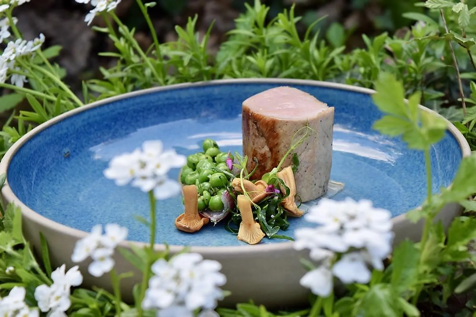 Lieux événementiels, CHATEAU DU CLOS DE LA RIBAUDIERE