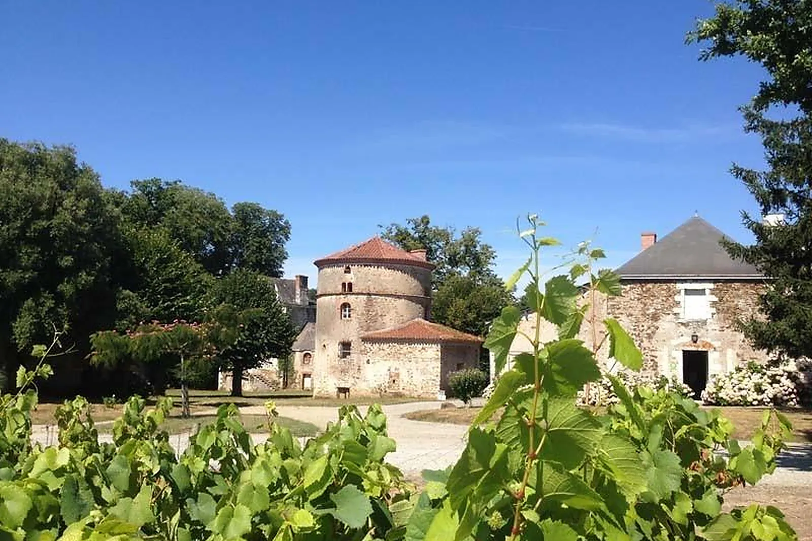 Lieux événementiels, CHÂTEAU DU COING