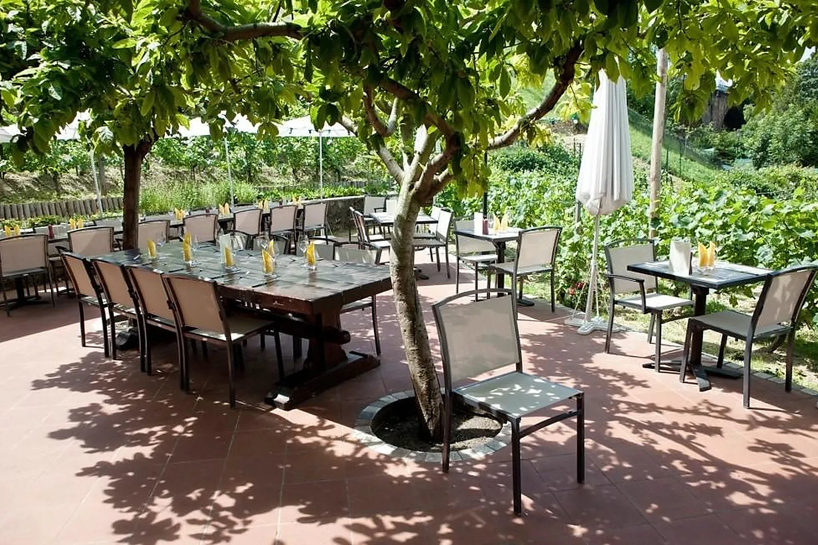 Lieux événementiels, CHEMIN DES VIGNES