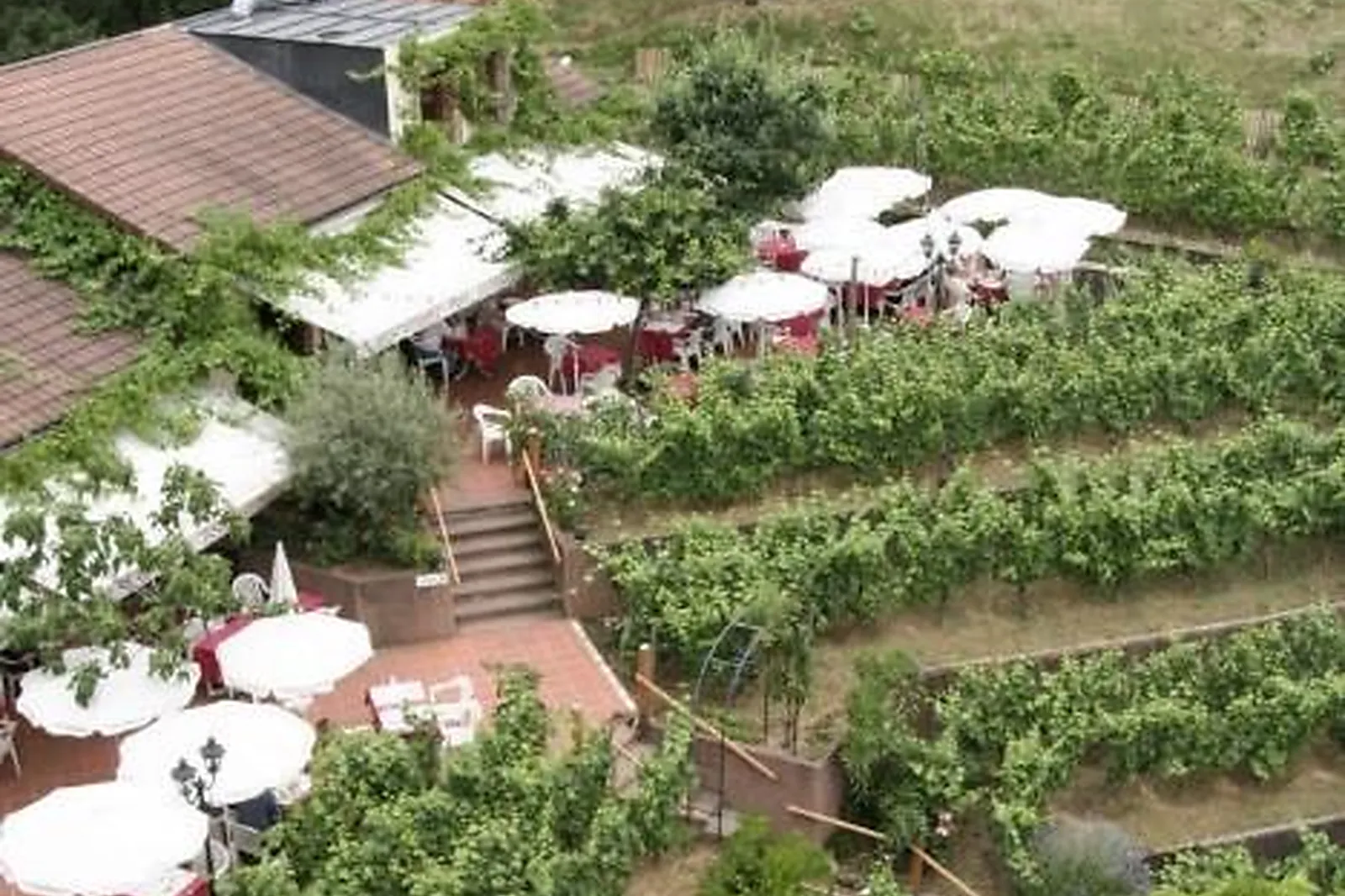 Lieux événementiels, CHEMIN DES VIGNES