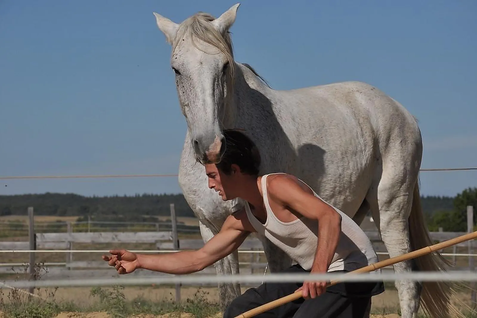 Lieux événementiels, CHEVAL MAGIQUE