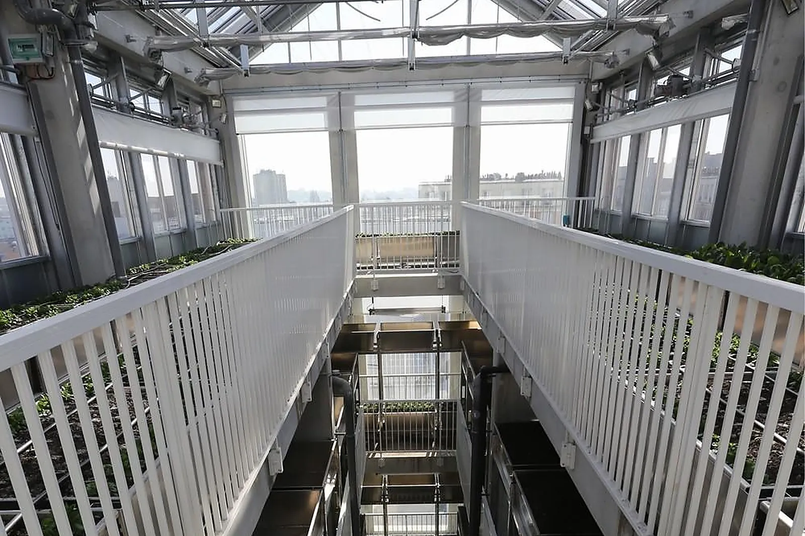 Lieux événementiels, CITÉ MARAÎCHÈRE