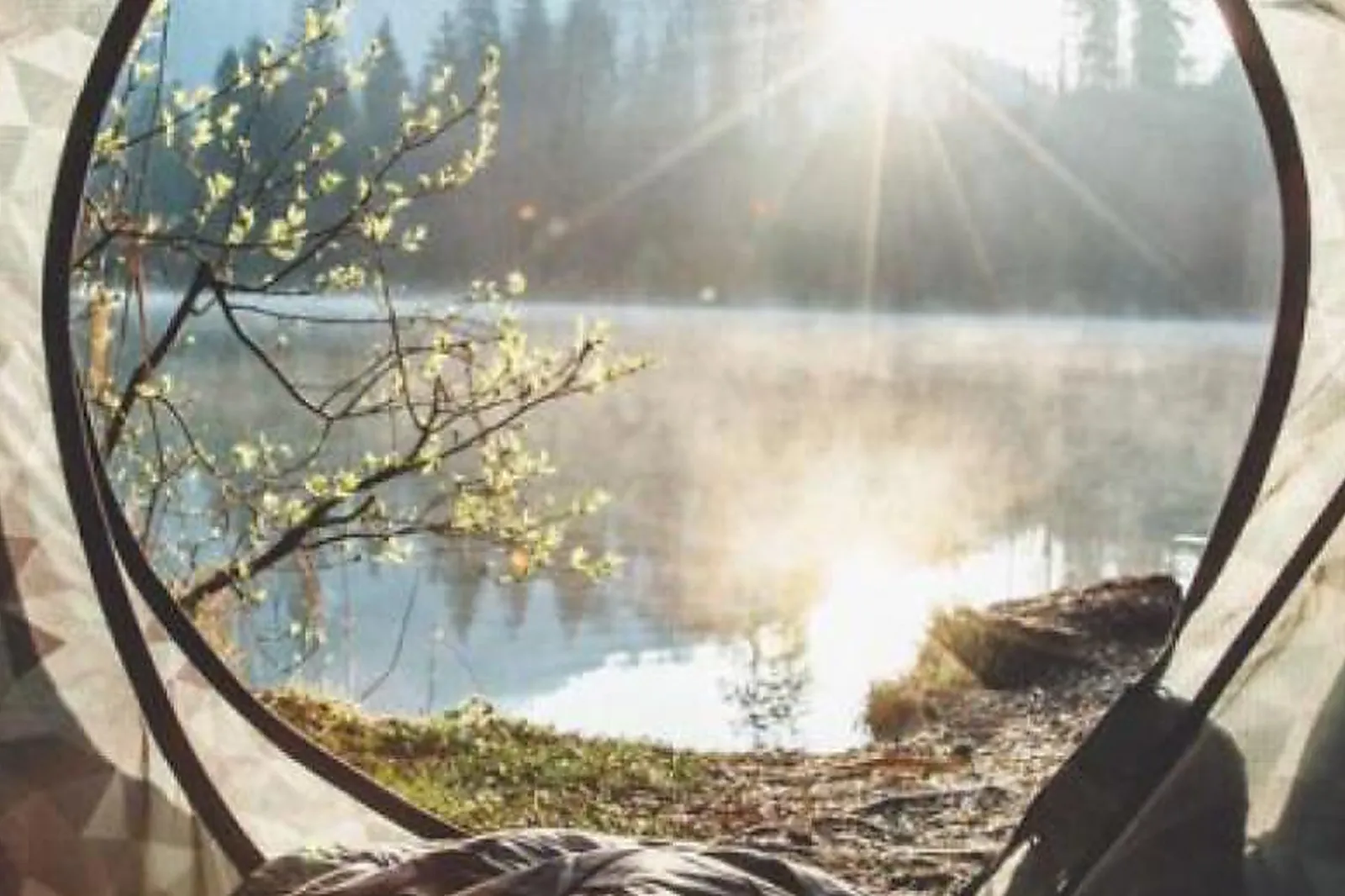 Lieux événementiels, COMET LA DÉFENSE