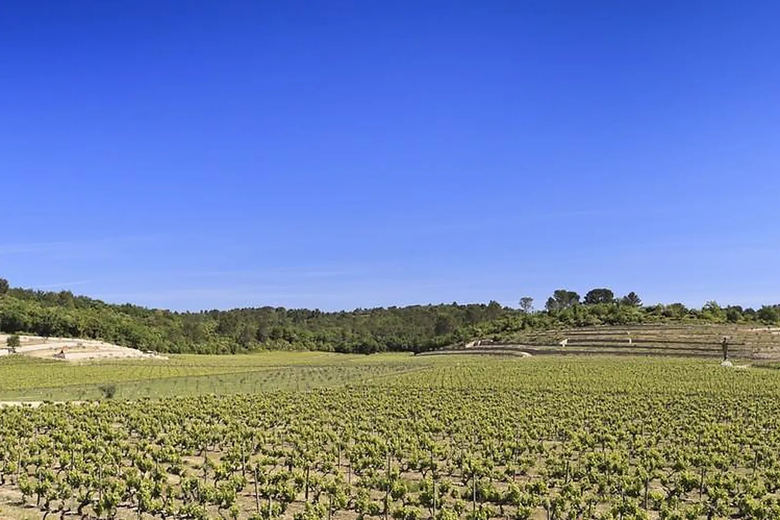 Lieux événementiels, COMMANDERIE DE PEYRASSOL