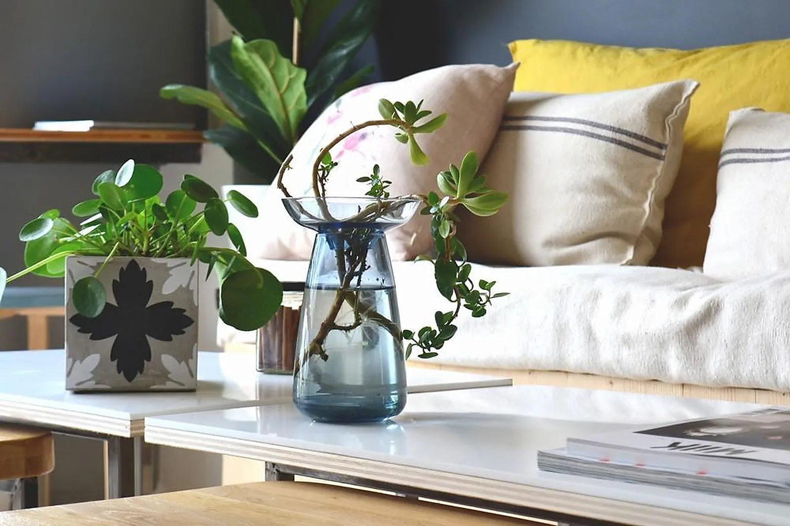 Lieux événementiels, COZYN