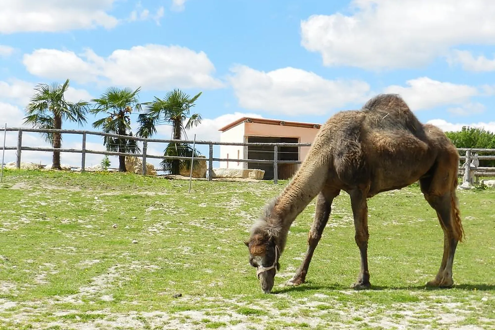Lieux événementiels, DÉFIPLANET'