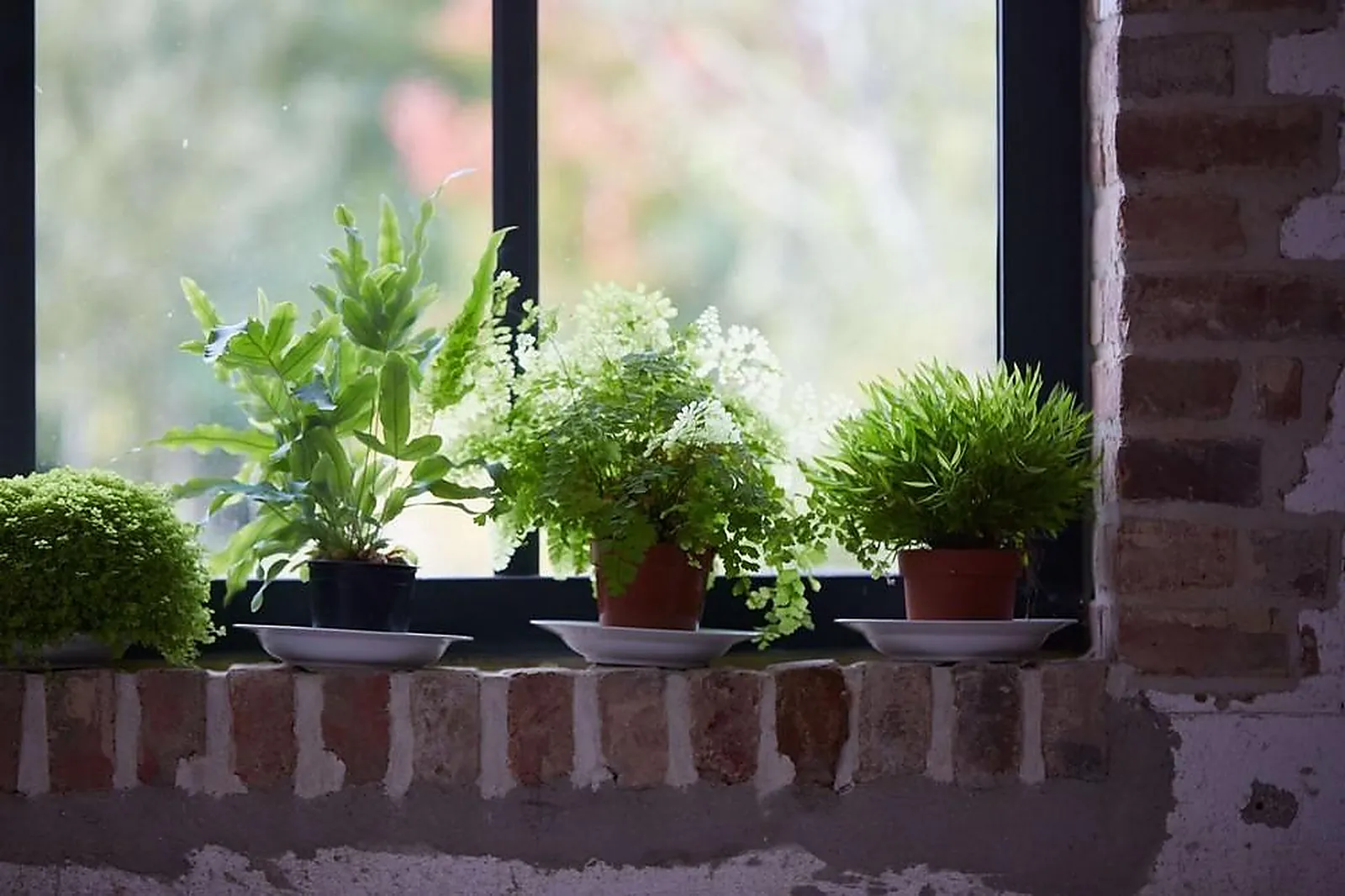 Lieux événementiels, DISTILLERIE D'HAUTEFEUILLE
