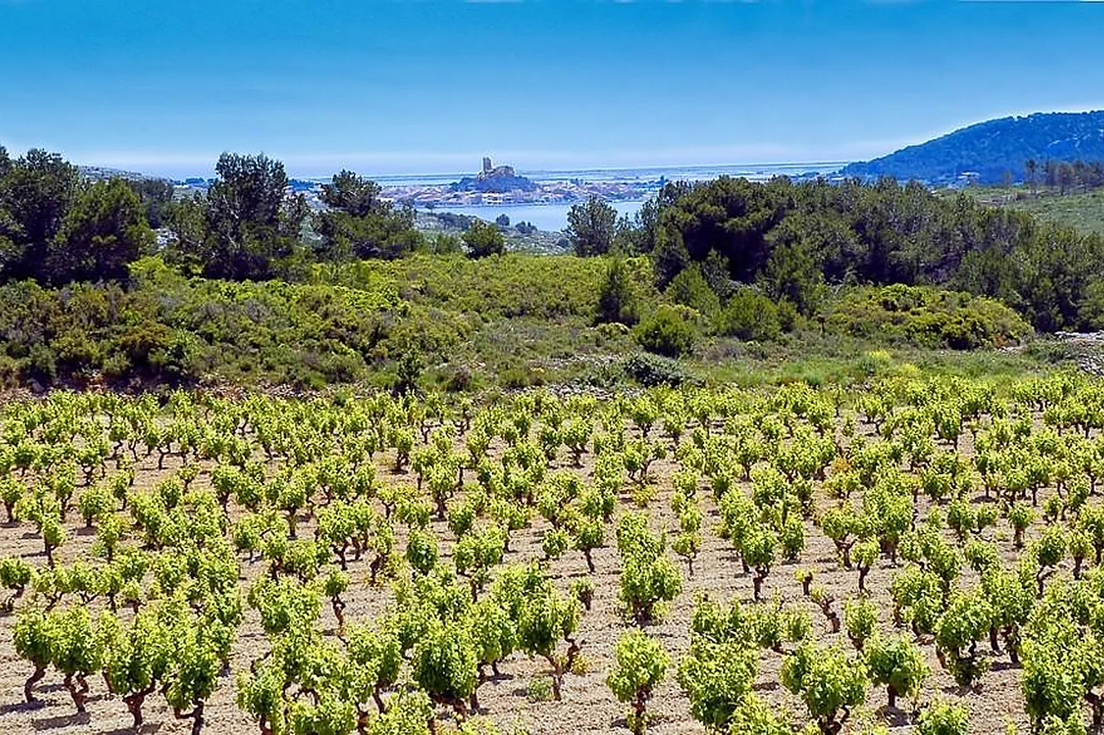 Lieux événementiels, DOMAINE CAPITOUL