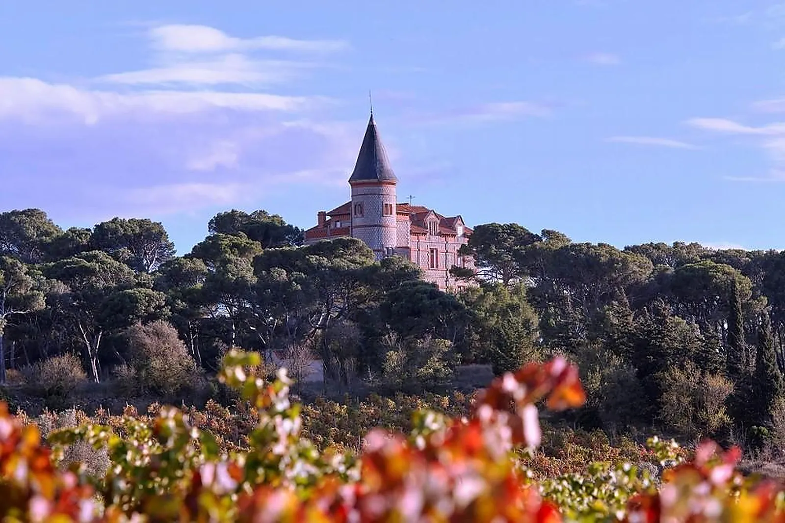 Lieux événementiels, DOMAINE CAPITOUL