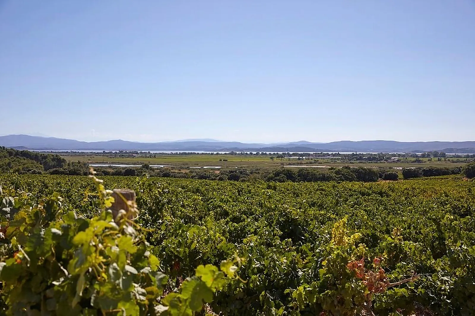 Lieux événementiels, DOMAINE CAPITOUL