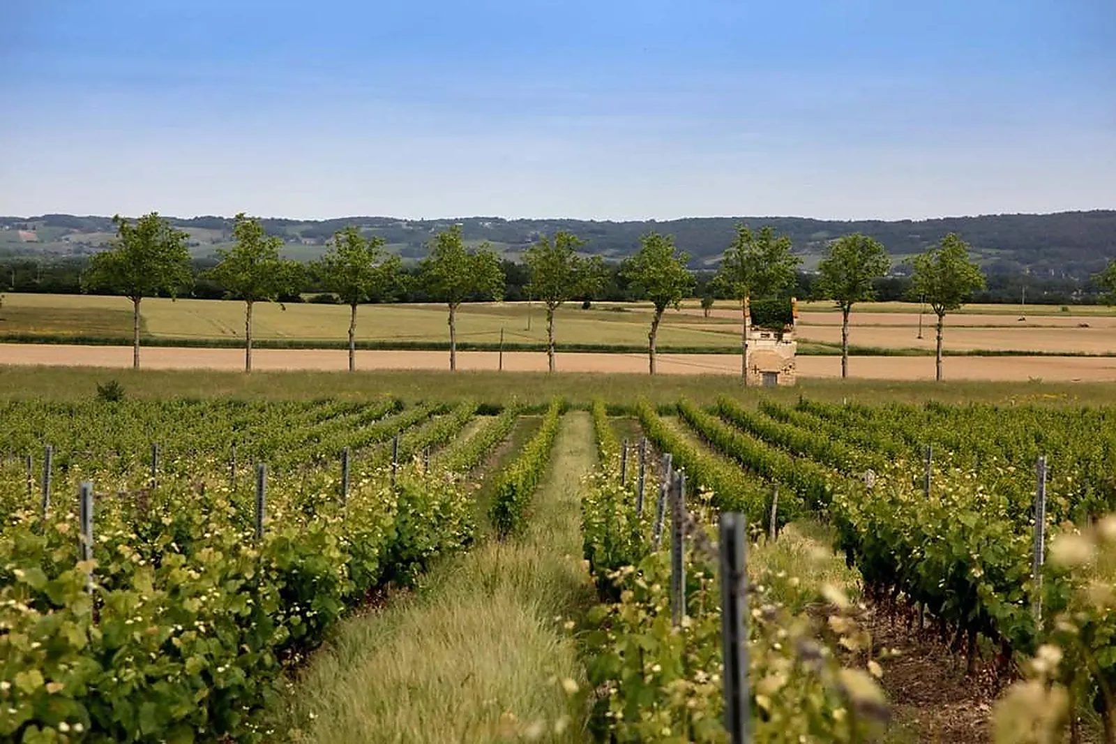 Lieux événementiels, DOMAINE CARCENAC