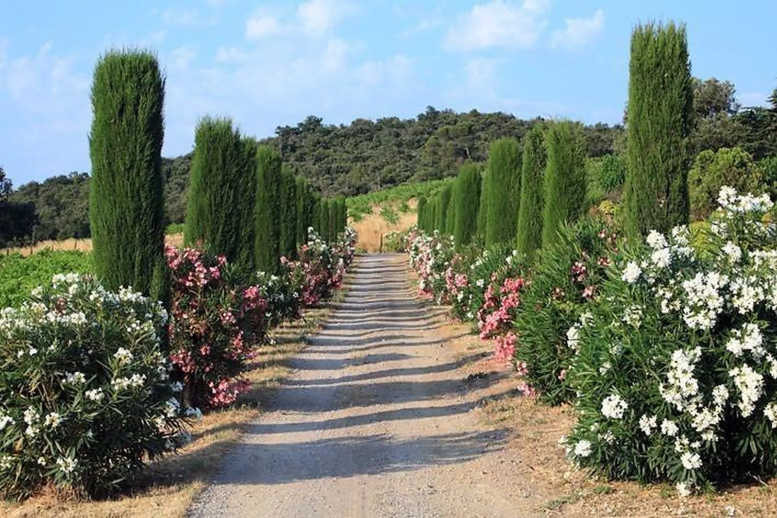 Lieux événementiels, DOMAINE DE BELLAVISTA