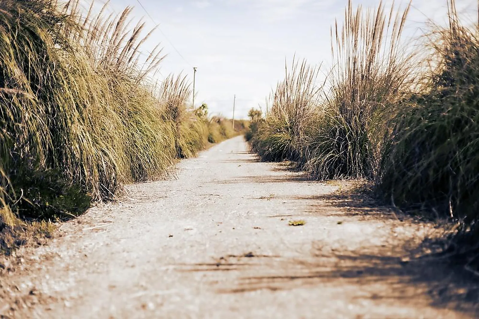 Lieux événementiels, DOMAINE LACAMPAGNE