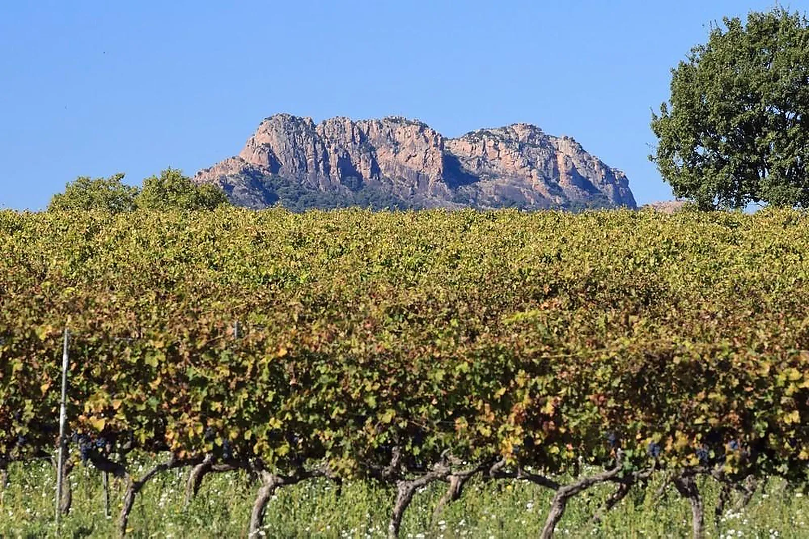 Lieux événementiels, DOMAINE LE BERCAIL