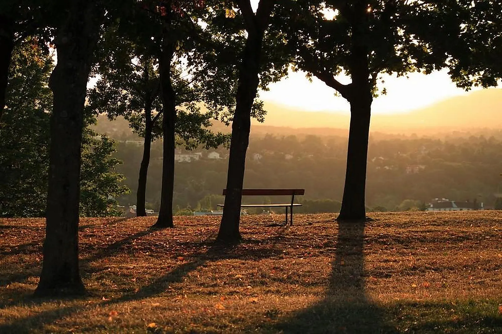 Lieux événementiels, DOMAINE LYON SAINT JOSEPH