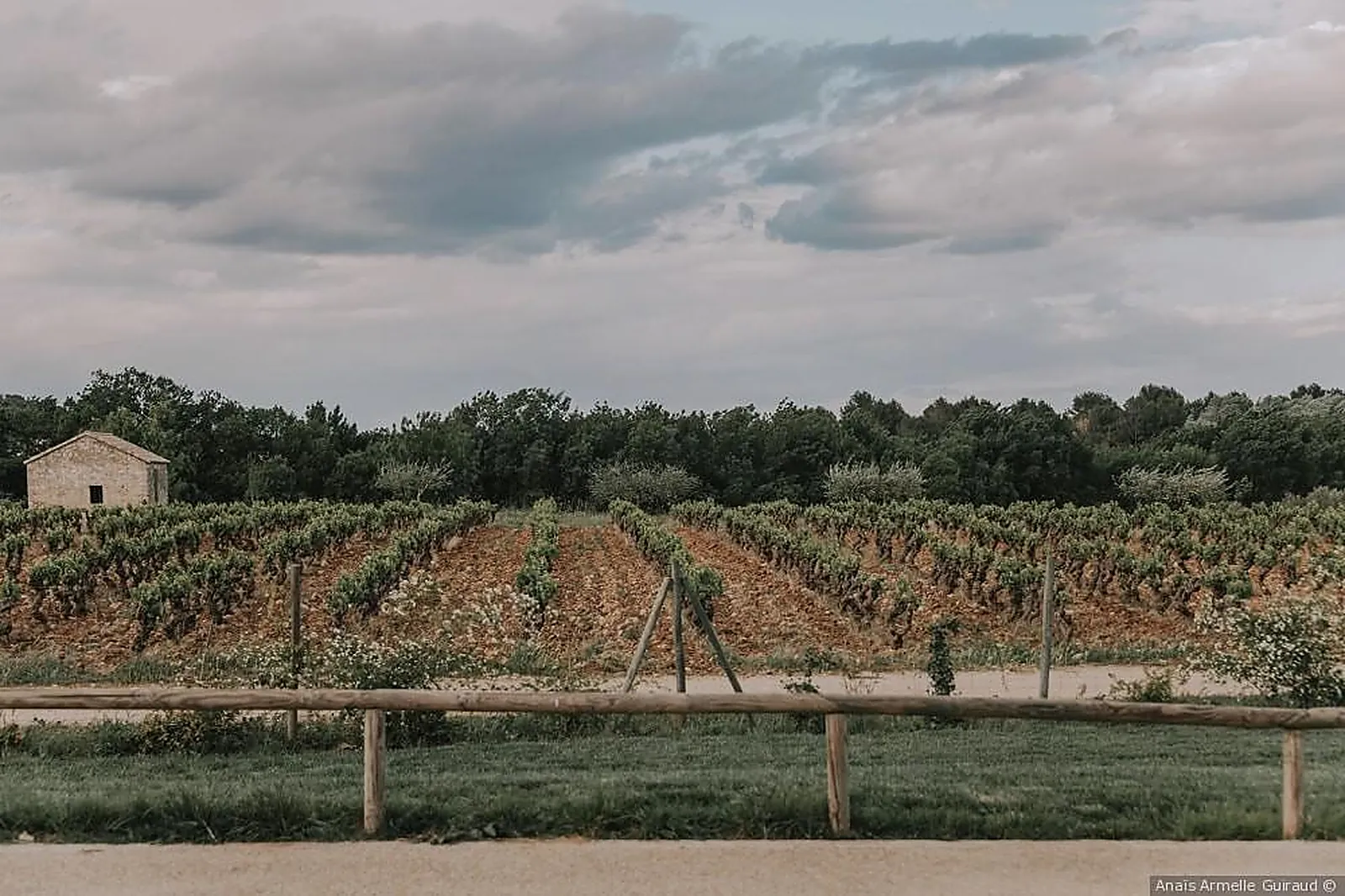 Lieux événementiels, DOMAINE MASSILLAN