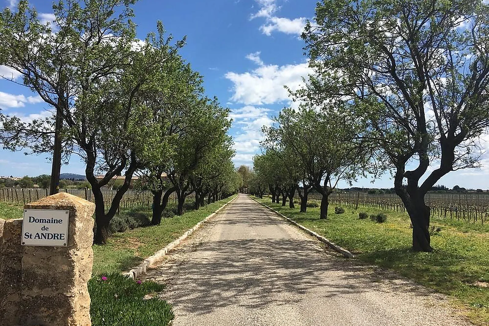 Lieux événementiels, DOMAINE SAINT ANDRÉ