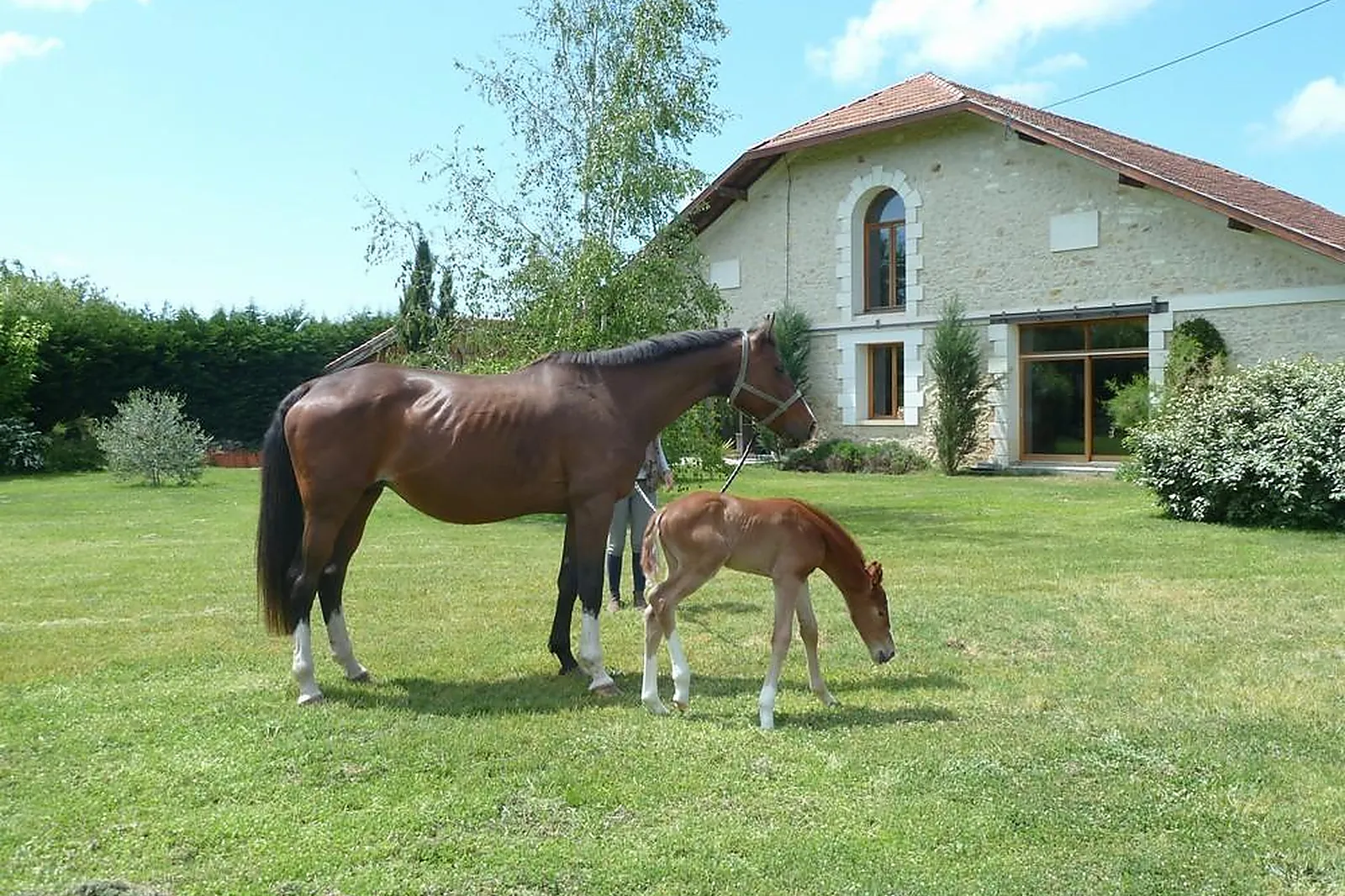 Lieux événementiels, DOMAINE D'ARÈS