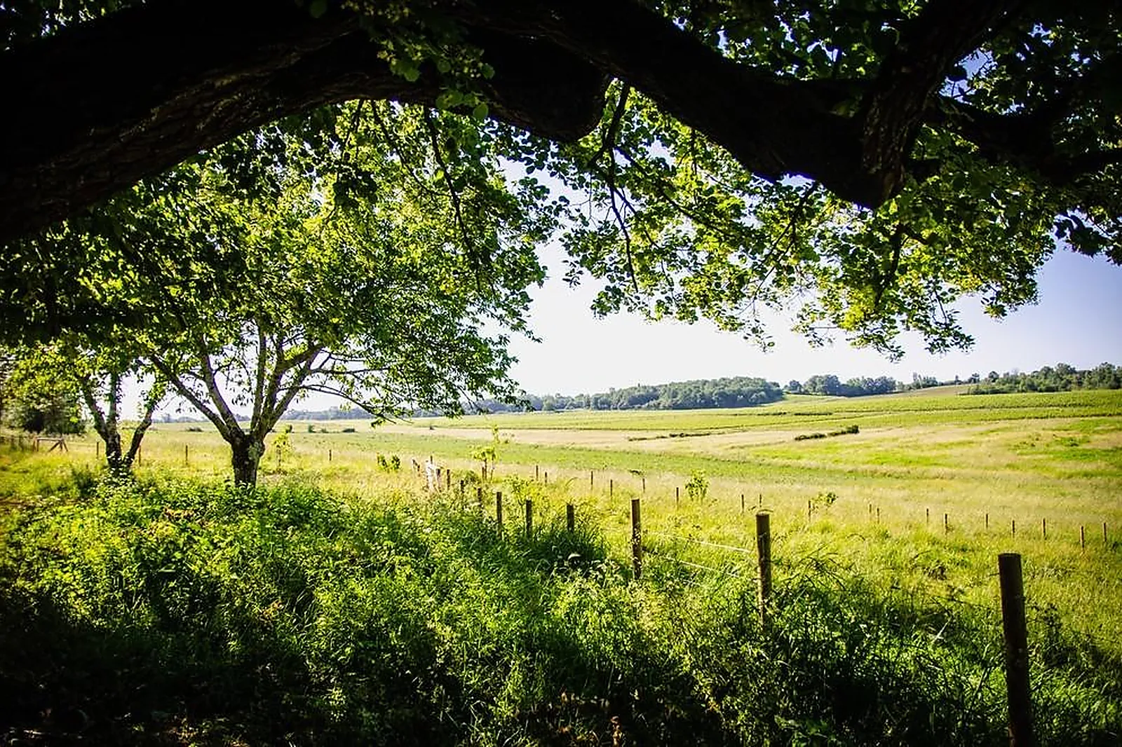 Lieux événementiels, DOMAINE DE BADINE