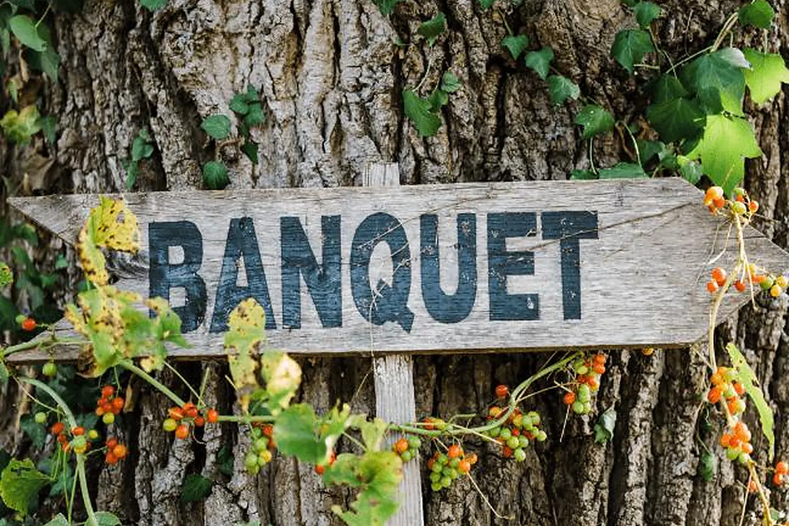 Lieux événementiels, DOMAINE DE BARTHAS - MÉTAIRIE DUPONT