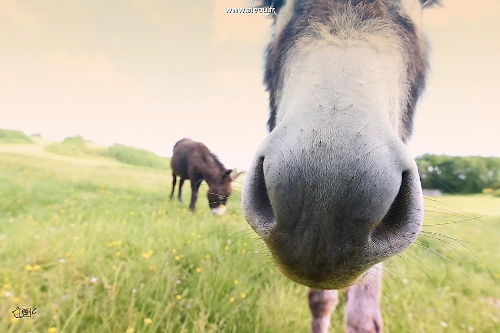 Lieux événementiels, DOMAINE DE BAULIEU