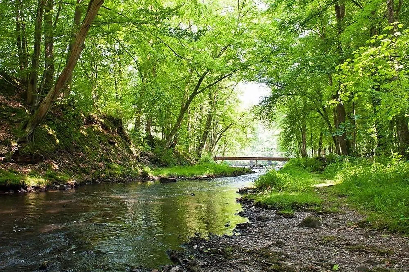 Lieux événementiels, DOMAINE DE BLANGY