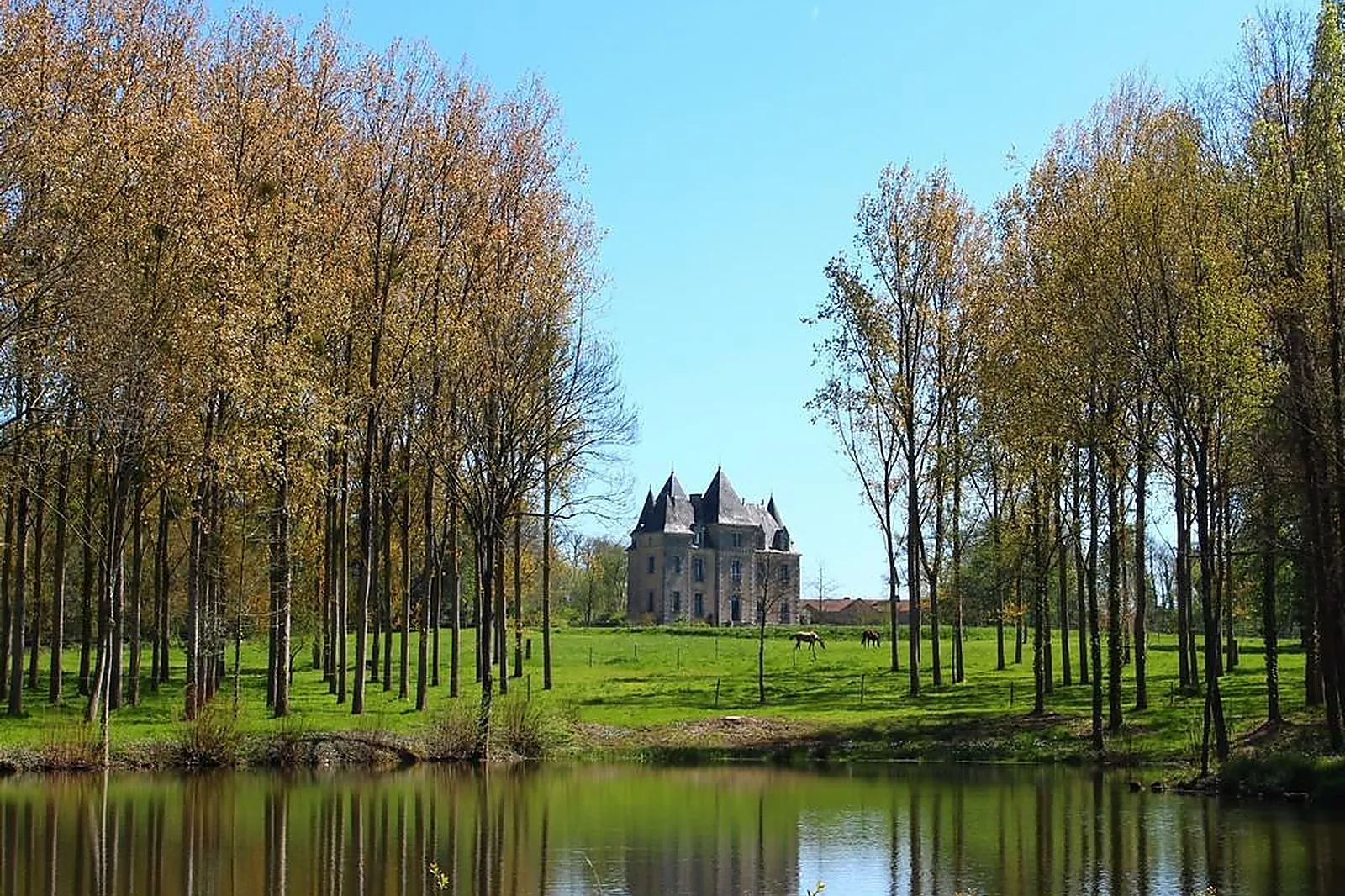 Lieux événementiels, DOMAINE DE BRANDOIS