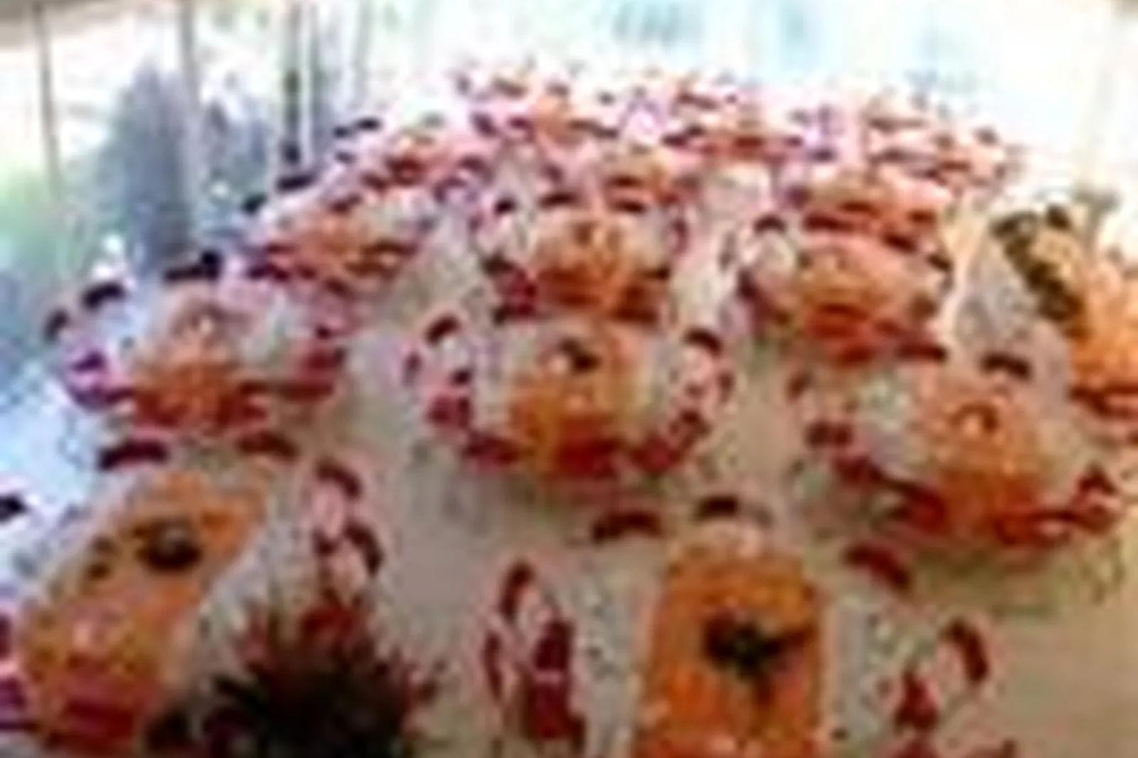 Lieux événementiels, DOMAINE DE FRAGAN